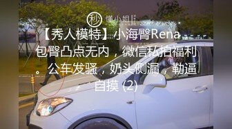 【秀人模特】小海臀Rena，包臀凸点无内，微信私拍福利。公车发骚，奶头侧漏，勒逼自摸 (2)