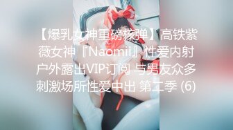 【爆乳女神重磅核弹】高铁紫薇女神『Naomii』性爱内射户外露出VIP订阅 与男友众多刺激场所性爱中出 第二季 (6)