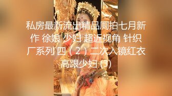 私房最新流出精品厕拍七月新作 徐娘 少妇 超近视角 针织厂系列 四（2）二次入镜红衣高跟少妇 (3)