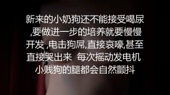 新来的小奶狗还不能接受喝尿 ,要做进一步的培养就要慢慢开发 ,电击狗屌,直接哀嚎,甚至直接哭出来  每次摇动发电机 小贱狗的腿都会自然颤抖