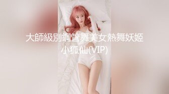 大師級別鋼管舞美女熱舞妖姬小狐仙(VIP)