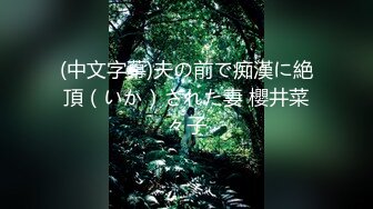 (中文字幕)夫の前で痴漢に絶頂（いか）された妻 櫻井菜々子