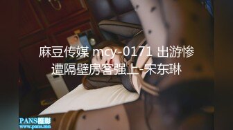 麻豆传媒 mcy-0171 出游惨遭隔壁房客强上-宋东琳