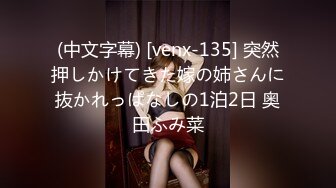 (中文字幕) [venx-135] 突然押しかけてきた嫁の姉さんに抜かれっぱなしの1泊2日 奥田ふみ菜