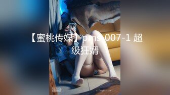 【蜜桃传媒】pms-007-1 超级狂婿